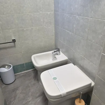 Sl * 스칼레아